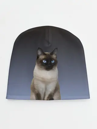 Детская шапка / сиамская милая кошечка