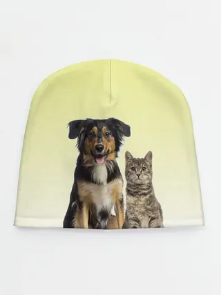 Детская шапка / кошка и собака друзья