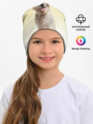 Детская шапка / Лабрадор ретривер пес