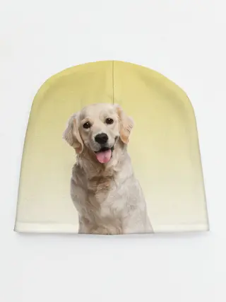Детская шапка / Лабрадор ретривер пес