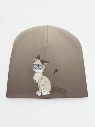 Детская шапка / сварливый кот мем нет