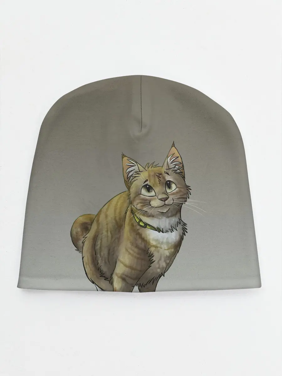 Детская шапка / полосатый уличный кот