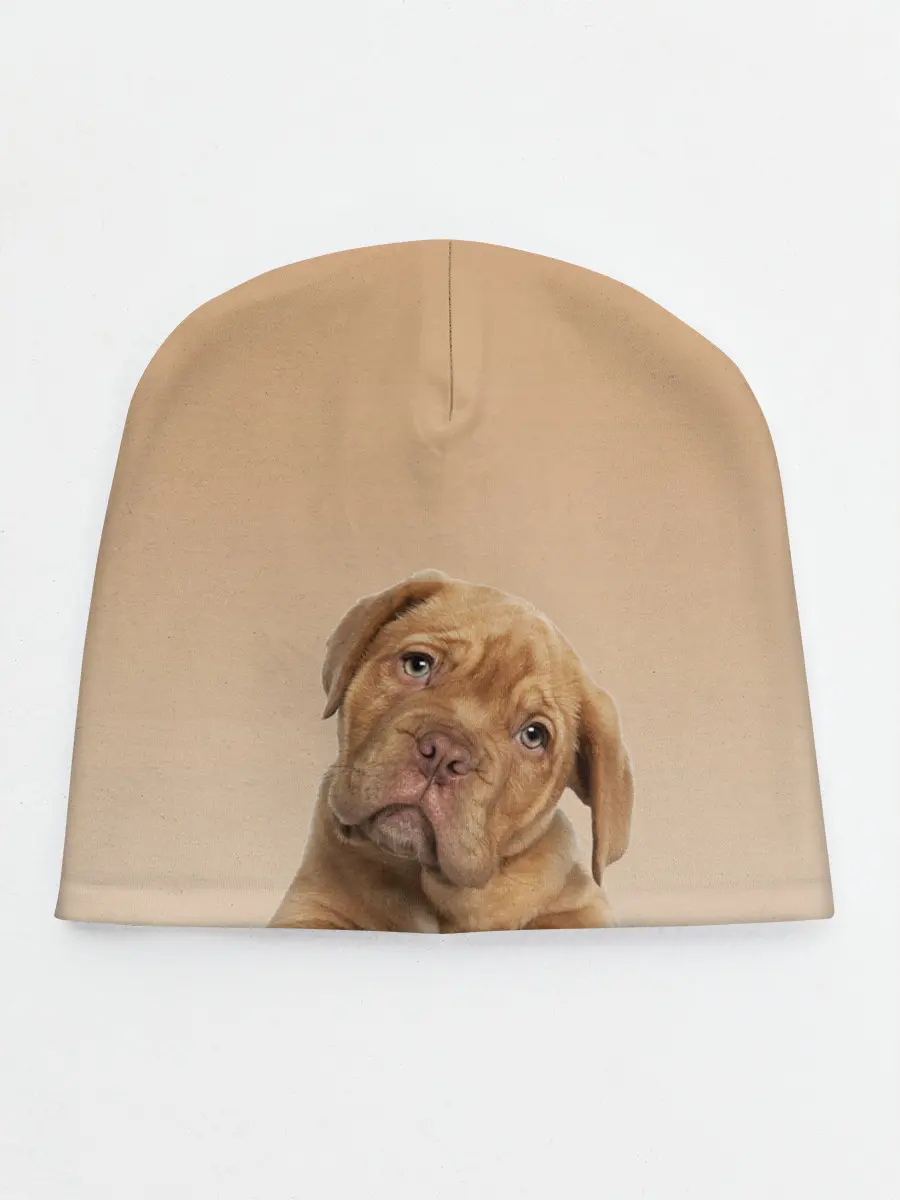 Детская шапка / питбуль