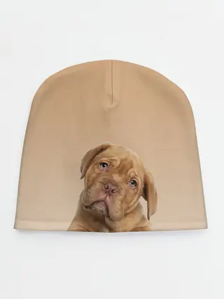 Детская шапка / питбуль