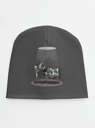 Детская шапка / Прощай, корова...