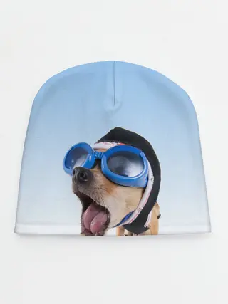 Детская шапка / собака в очках
