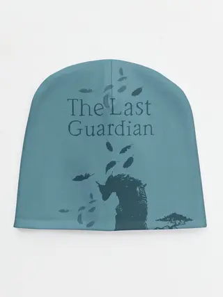 Детская шапка / the last guardian