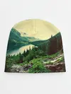 Детская шапка / Красивый лес