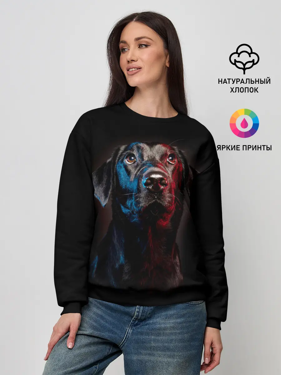 Женский свитшот / Чёрный лабрадор