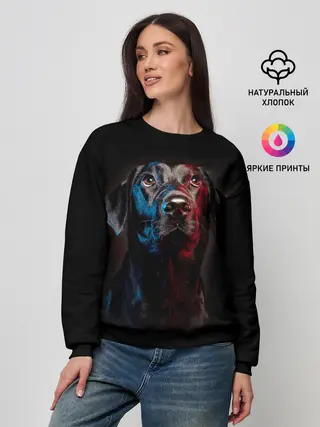 Женский свитшот / Чёрный лабрадор