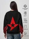 Женский свитшот / Astralis uniform 2019