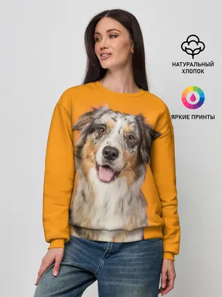 Женский свитшот / Австралийская овчарка