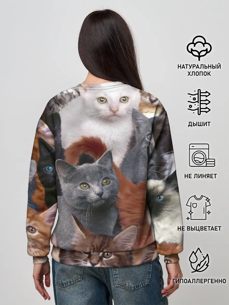 Женский свитшот / Много котов