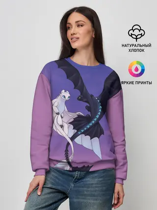 Женский свитшот / ночная фурия