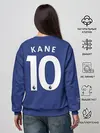 Женский свитшот / Kane away 19-20