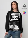 Женский свитшот / ДДТ