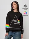Женский свитшот / PINK FLOYD