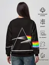 Женский свитшот / PINK FLOYD