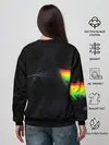 Женский свитшот / PINK FLOYD