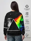 Женский свитшот / PINK FLOYD