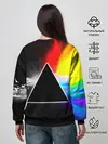 Женский свитшот / PINK FLOYD