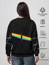 Женский свитшот / PINK FLOYD