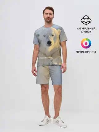 Мужской костюм с шортами / Медведь