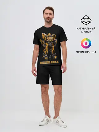 Мужской костюм с шортами / Шмель