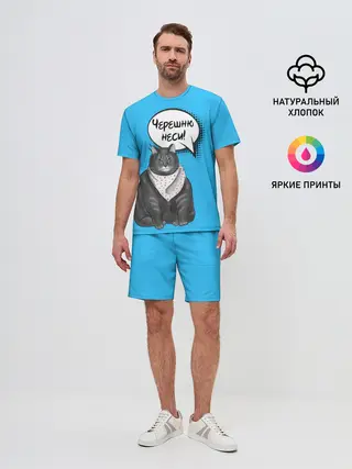 Мужской костюм с шортами / Толстый кот