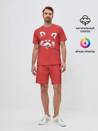 Мужской костюм с шортами / Красная панда