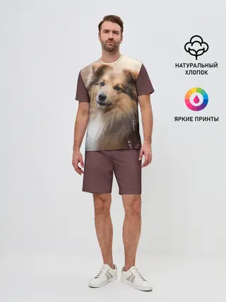 Мужской костюм с шортами / Шелти