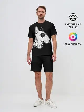 Мужской костюм с шортами / Бультерьер