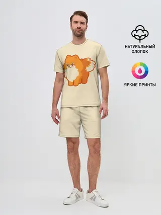 Мужской костюм с шортами / Шпиц