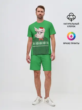 Мужской костюм с шортами / New Year Hipster Pig