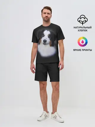 Мужской костюм с шортами / Собака