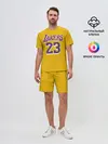 Мужской костюм с шортами / James 18-19 LA Lakers home