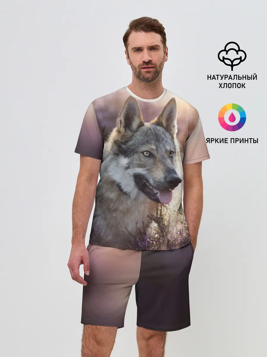 Мужской костюм с шортами / Волк