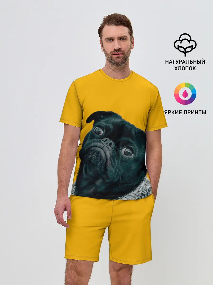 Мужской костюм с шортами / Бульдожка