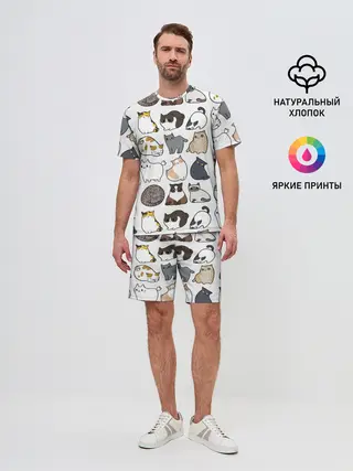 Мужской костюм с шортами / Котики