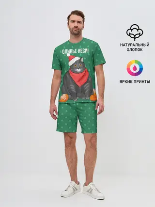 Мужской костюм с шортами / Кот хочет кушот