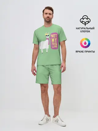 Мужской костюм с шортами / Лама