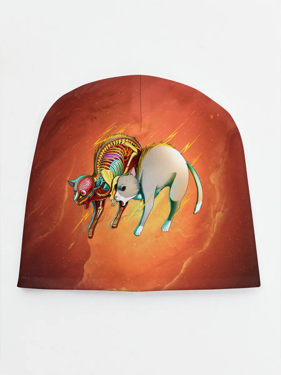 Детская шапка / Cat 50/50