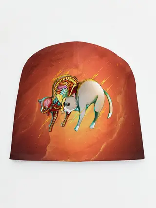 Детская шапка / Cat 50/50