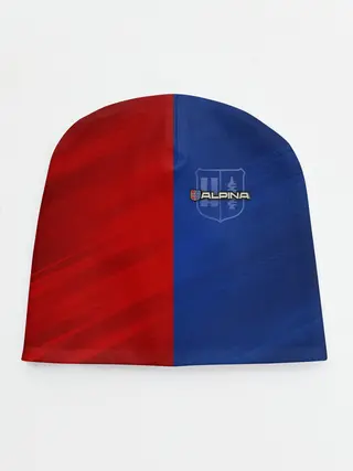 Детская шапка / Логотип Alpina