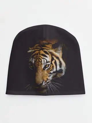 Детская шапка / Год тигра. Голова