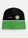 Детская шапка / Skoda | Два цвета