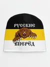 Детская шапка / Русские Вперёд!