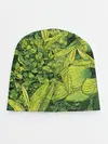 Детская шапка / Растительная жизнь - Хоста