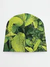 Детская шапка / Растительная жизнь - Хоста
