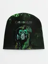 Детская шапка / Чернобылит / Chernobylite